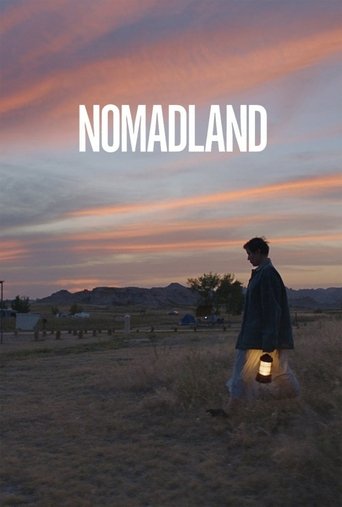Nomadland poster